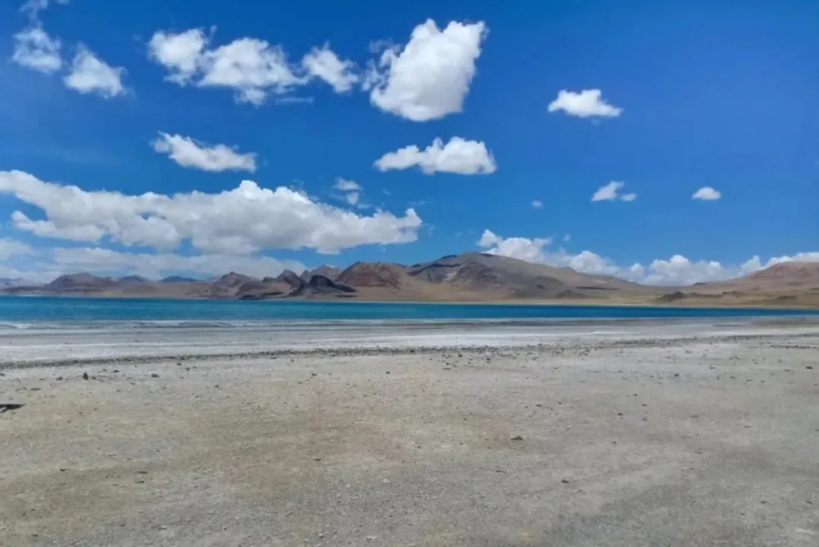 122cc太阳集成游戏(中国)有限公司官网