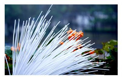 122cc太阳集成游戏(中国)有限公司官网